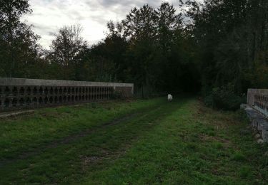 Randonnée Marche Saint-Rémy-Boscrocourt - St Remy bosc rocourt eu  - Photo