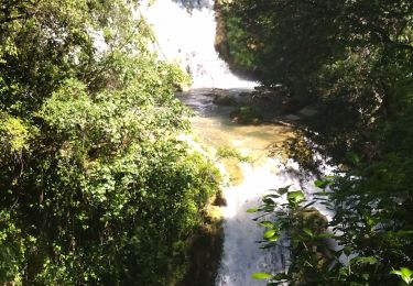 Tocht Stappen Carcès - Carcès les chutes du Caramy - Photo