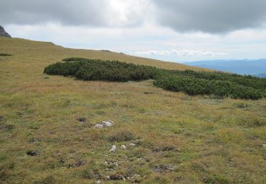 Tocht Te voet Gemeinde Neuberg an der Mürz - Wanderweg 824b: Ochsenhaltweg - Photo