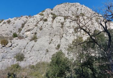 Randonnée Marche Fuveau - Peypin - Photo