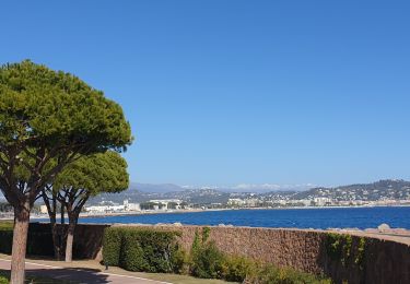 Tour Wandern Mandelieu-la-Napoule - mandelieu la Napoule - Photo