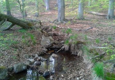 Randonnée A pied Quedlinburg - Grüner Balken Gernrode Bremer Teich Selketal - Photo