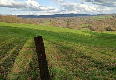 Tour Wandern Saint-Vitte-sur-Briance - saint vitte sur briance-les monts - Photo