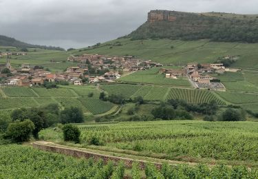 Trail Walking Vergisson - Vergisson Les deux Roches page 76 - Photo
