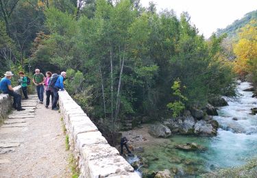 Excursión Senderismo Saint-Cézaire-sur-Siagne - St Cesaire gorges de la Siagne - Photo