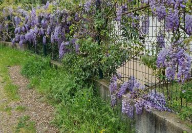 Tour Wandern Saint-Raphaël - z le jardin de Diane 09-04-24 - Photo