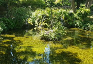 Trail Walking Verneuil-sur-Seine - les clairieres de Verneuil - Photo