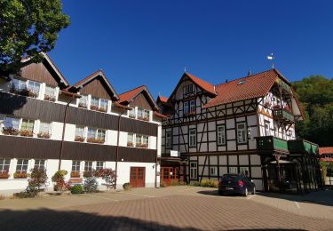 Tocht Te voet Wernigerode - DE-gelber Punkt - Photo