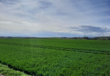 Excursión Senderismo Mons - marche adeps harmignie  - Photo
