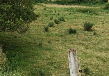 Randonnée Marche Dégagnac - La Serre les Magognes Les Peyrières 7,5 - Photo