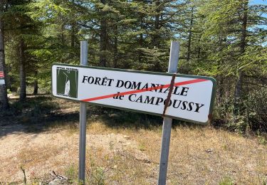 Trail Walking Trévillach - Trevichac col aucunes par la forêt domaniale deCampoussy - Photo