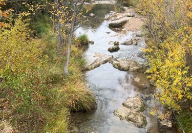 Tour Wandern Tourves - Caramy antoine - Photo