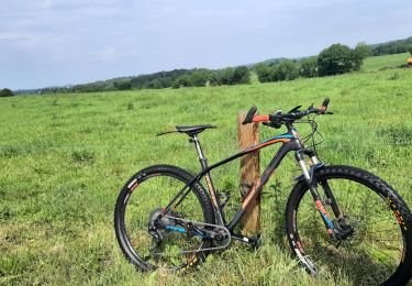 Trail Mountain bike Baud - Autour de Baud - Photo