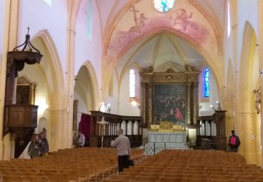 Randonnée Marche Six-Fours-les-Plages - pepiole la collégiale  - Photo