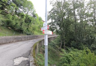 Tour Zu Fuß Berbenno - Antiche Tracce - Photo