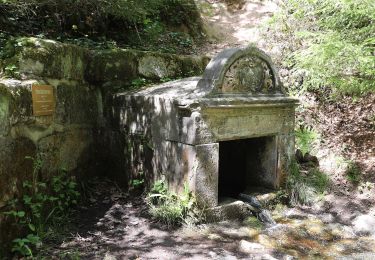 Trail On foot Lichtenfels - Vier-Brunnen-Weg - Photo