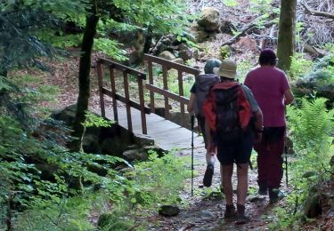Randonnée Marche Cambon-et-Salvergues - Cambon-le Fajau-Pezille - Photo