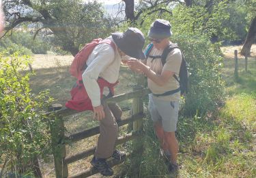 Excursión Senderismo Vitteaux - Vitteaux 21 - Photo
