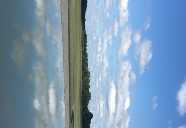 Tour Wandern Pont-l'Abbé - Risquerai - Photo