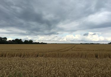 Percorso A piedi Fehmarn - Puttgarden West - Photo