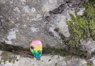 Trail Walking Fontainebleau - Cabaret Masson  - Photo