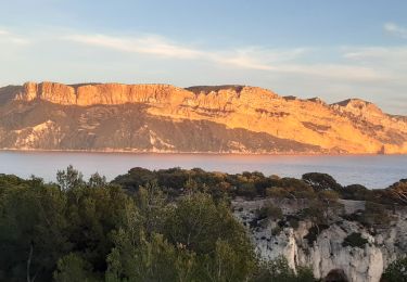 Randonnée Marche Cassis - Port Miou - Photo