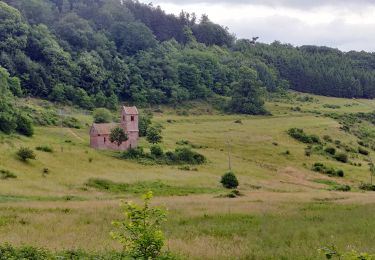 Trail Horseback riding Mollkirch - 2020-06-14 Picnic CVA Abbaye de Niedermunster - Photo