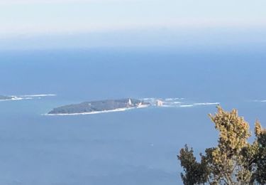 Tour Wandern Saint-Raphaël - Les suvières via le pic de l'ours depuis ND - Photo