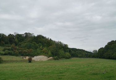 Trail Walking Petit-Caux - bois de pumont mahomet - Photo