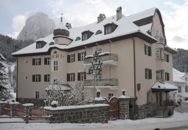 Tour Zu Fuß St. Christina in Gröden - Raida dl luech - Photo