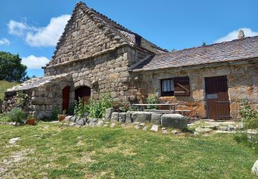 Excursión Senderismo Pont de Montvert - Sud Mont Lozère - Sources du Tarn - Photo