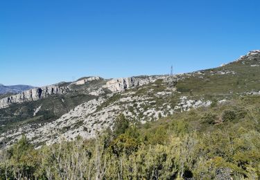 Trail Walking Cuges-les-Pins - col de l'ange tour du bigou - Photo