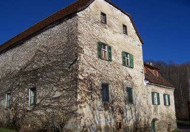 Trail On foot Stubenberg - Buschenschankrundweg - Photo