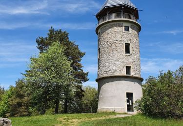 Randonnée Marche Violay - Violay - La Tour Matagrin - Photo