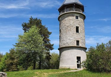 Tocht Stappen Violay - Violay - La Tour Matagrin - Photo