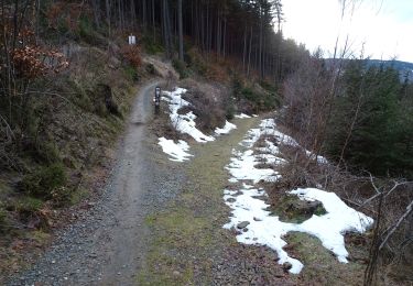 Percorso A piedi Jáchymov - Hornická naučná stezka Dr. Jana Hlouška - Photo