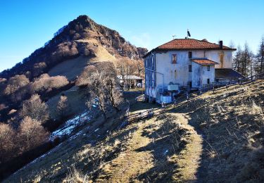Tour Zu Fuß Chum - (SI D10N) Como (Monte Olimpino) - Rifugio Prabello - Photo