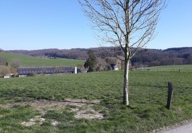 Percorso A piedi Kürten - Denkmalweg Olpe - Photo