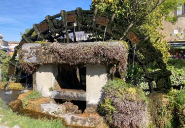 Trail Walking L'Isle-sur-la-Sorgue - Marché L’Isle-sur-la-Sorgue - Photo