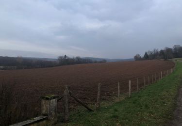 Excursión Senderismo Mignavillers - La seigneurerie de grange ( petite boucle )  - Photo