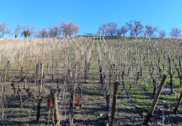 Trail Walking Mittelwihr - Les perles du vignoble  : Mittelwihr - Beblenheim - Zellenberg - Hunawihr - Riquewihr. - Photo
