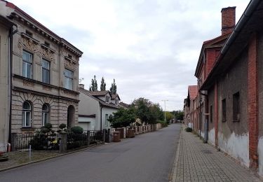 Tour Zu Fuß Tschechisch Teschen - Trasa Městská - Photo