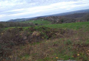 Tocht Stappen Beure - Beure de la pisseur au mercureau  - Photo