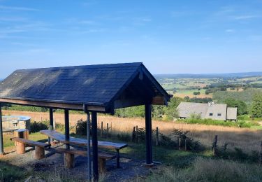 Tocht Stappen Trois-Ponts - GR 14 BASSE-BODEUX - BANEUX TABLE D'ORIENTATION  - Photo