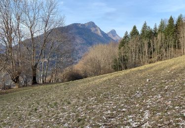 Tour Wandern Aillon-le-Jeune - Petit circuit découverte aillon le jeune - Photo