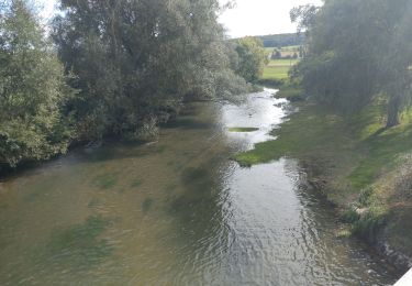 Tocht Mountainbike Chablis - Tacot de l'yonne le long du Serein - Photo