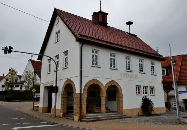 Tour Zu Fuß Gomadingen - Gutenberg - Schopfloch - Donnstetten - Photo