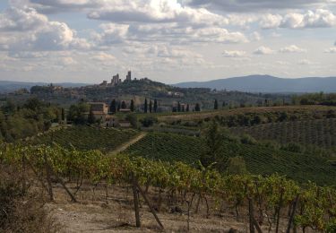 Tocht Te voet San Gimignano - Dolce campagna, antiche mura 18 - Photo