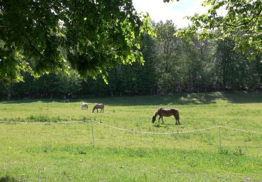 Randonnée Marche Freneuse-sur-Risle - les coudraies - Photo