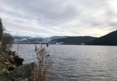 Tour Wandern Gerdsee - Ventron lac Gerardmer - Photo